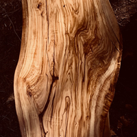Bois de Cachemire