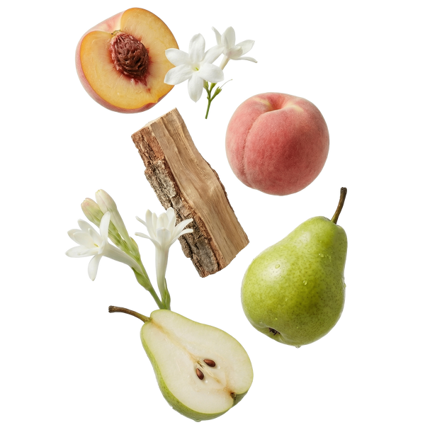 Cachemir Blanc