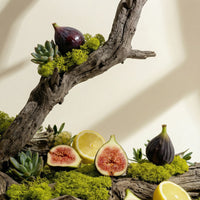 Sucré & Gourmand