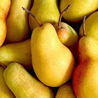 Poire